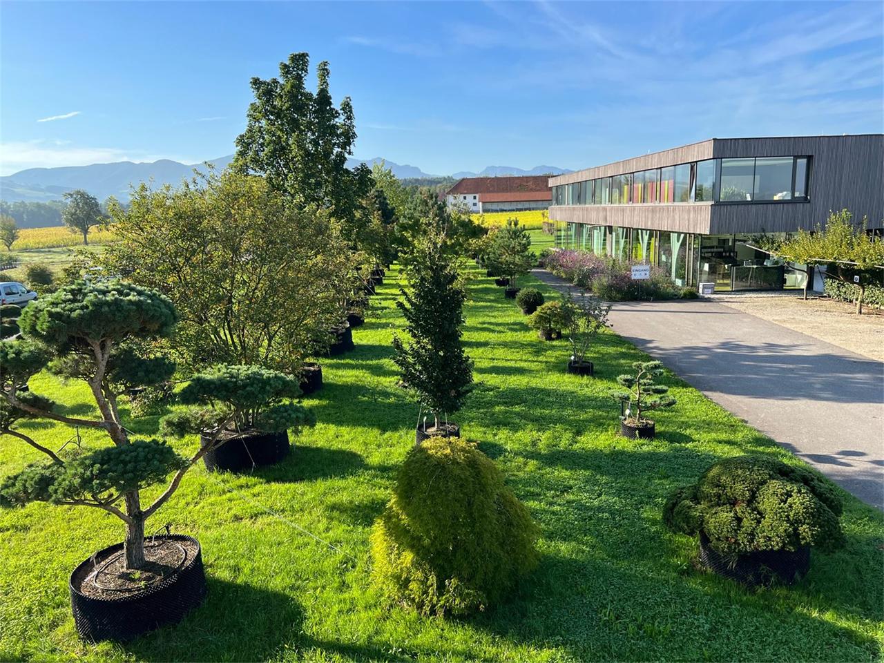 Betriebsgebäude der Baumschule Haselberger mit Pflanzenquartier